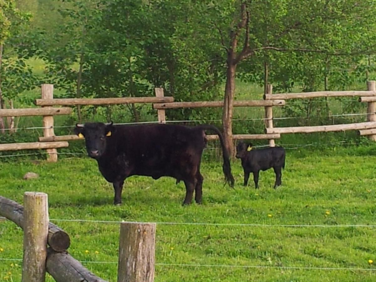 Doppelzimmer Im Spreewald Burg  Ngoại thất bức ảnh